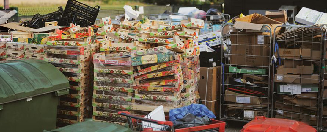 Stop Food Waste Day: From Waste to Worth in South Africa