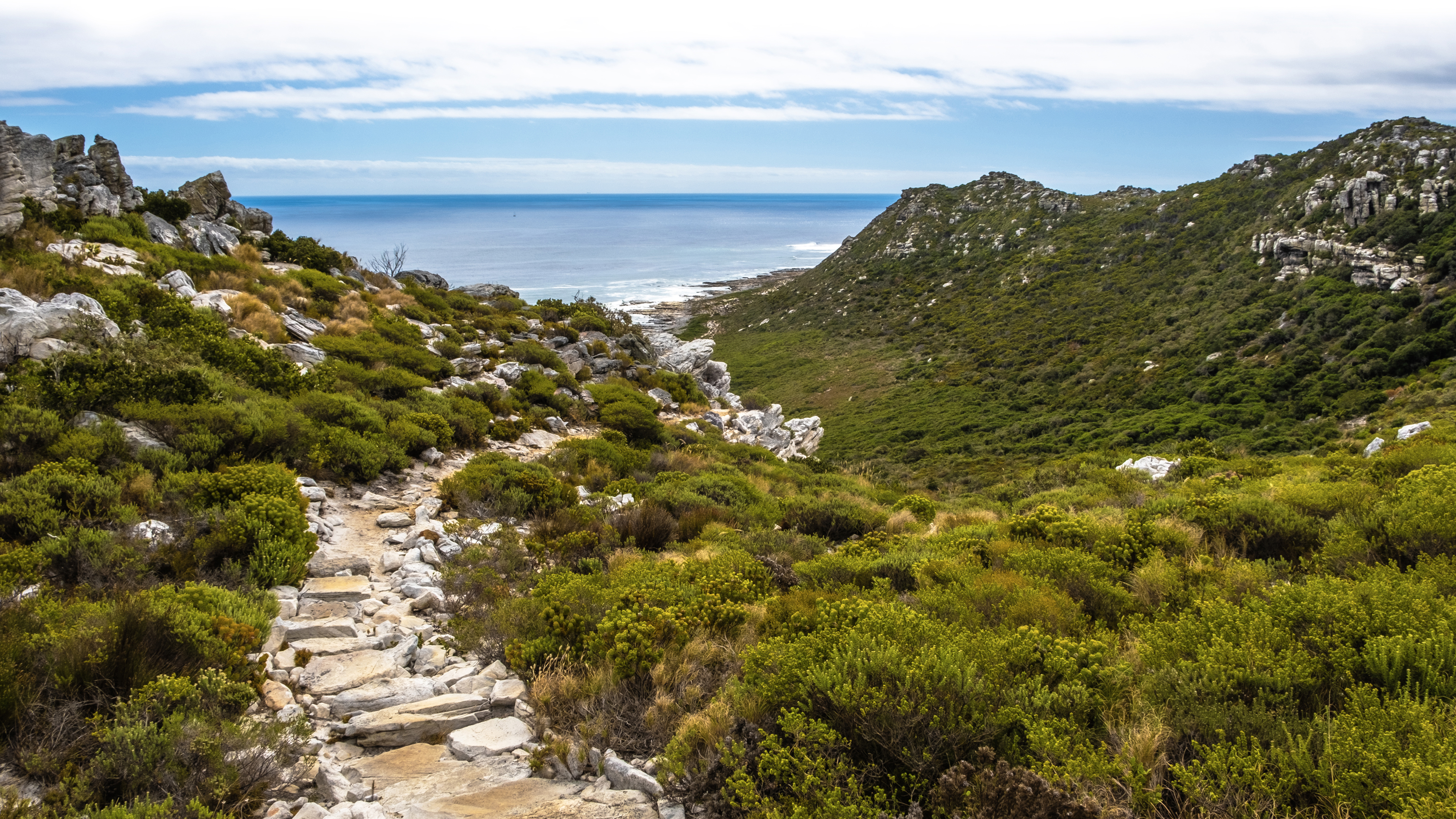 Cape Point landscape 