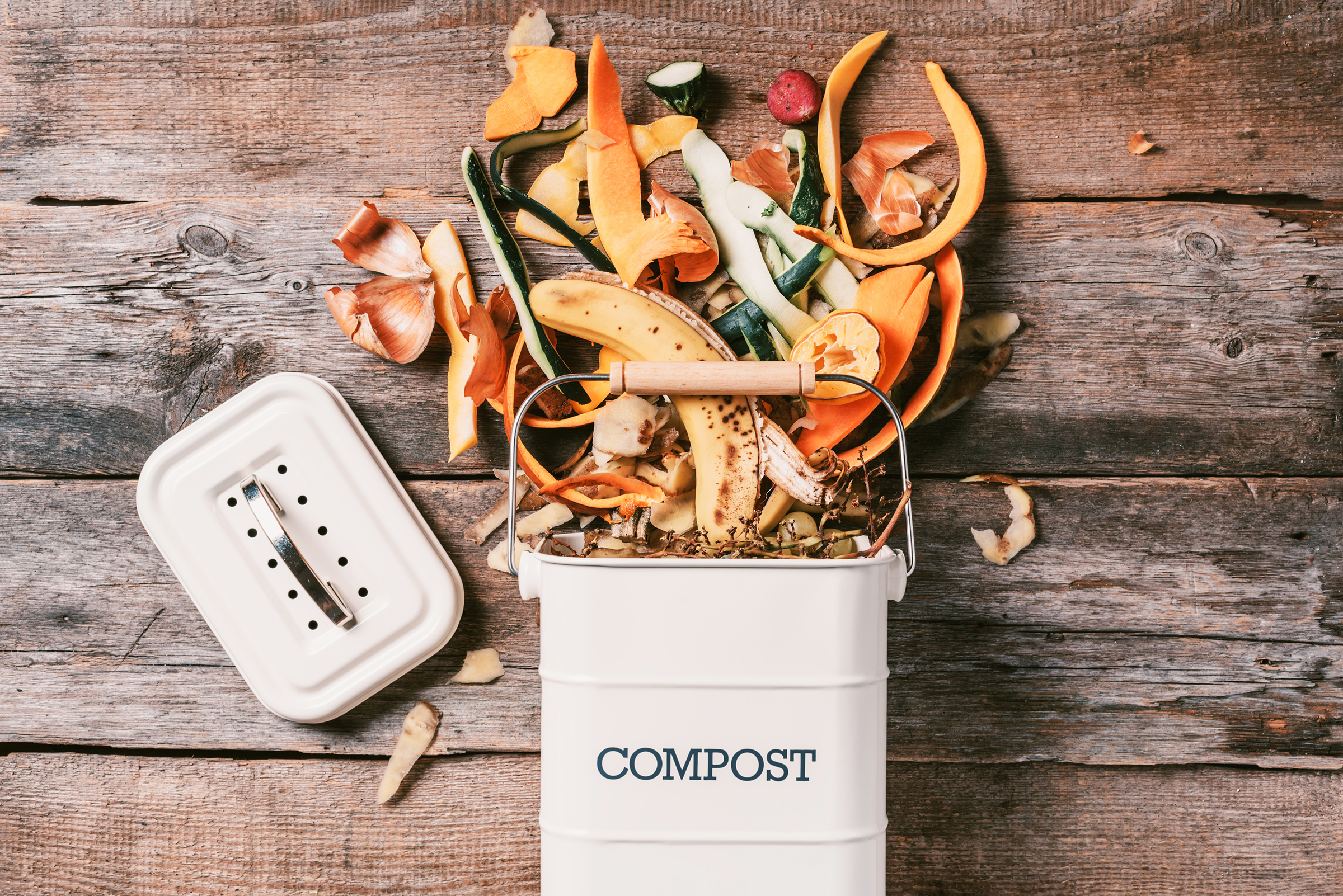 Kitchen compost waste 