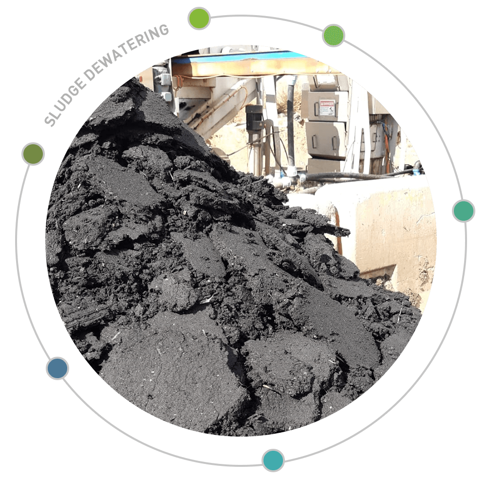 Sludge dewatering