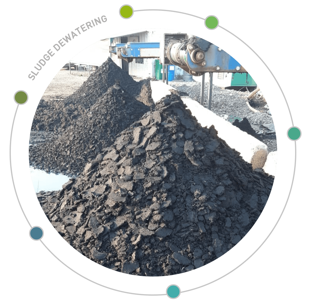 Sludge dewatering